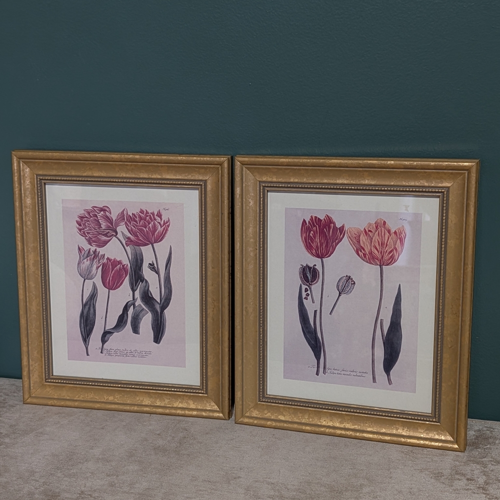 Vintage Framed Art Prints(Set)~Tulips~Johann Wilhelm Weinmann - Picture 11 of 11
